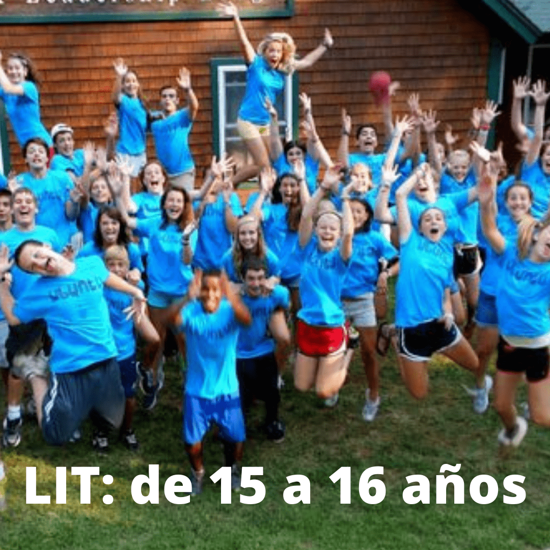 Programa Lider in training